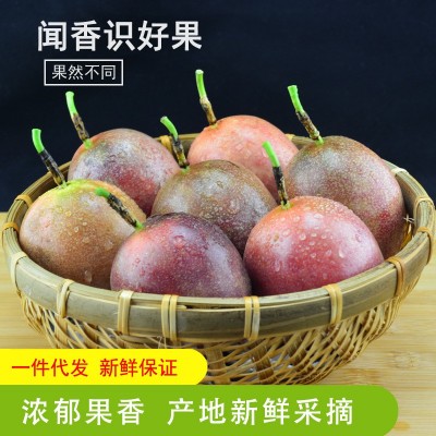 广西新鲜紫色百香果5斤大果中果整箱热带水果白香果新鲜直达