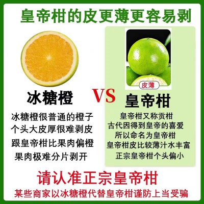 广西应季皇帝柑薄皮多汁热带贡柑橘子新鲜现摘孕妇香甜水果整箱沃图4