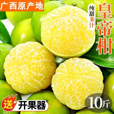 广西应季皇帝柑薄皮多汁热带贡柑橘子新鲜现摘孕妇香甜水果整箱沃