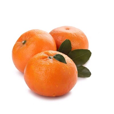 【精品果】广西武鸣沃柑当季现摘水果桔子橘子图4