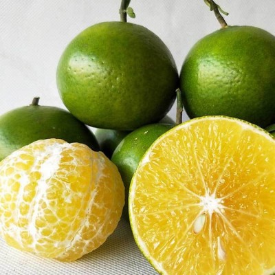 正宗广西皇帝柑新鲜桔子当季水果贡柑纯甜整箱水果图2