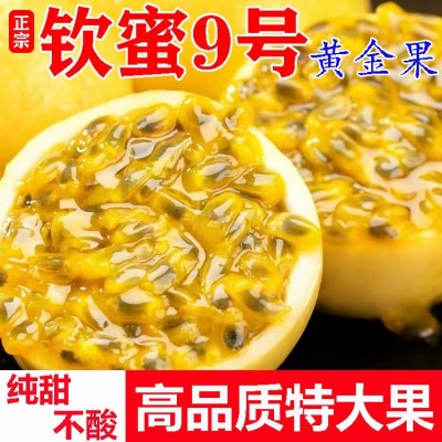 正宗钦蜜9号百香果新鲜当季现摘水果黄金百香果一件代发