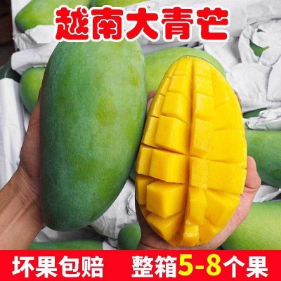 越南大青芒大金煌芒大青芒芒果当季水果芒果现摘现发一件代发