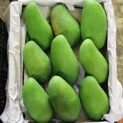 越南大青芒大金煌芒大青芒芒果当季水果芒果现摘现发一件代发图5