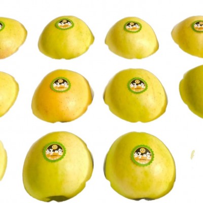 2025陕西淳化新鲜瑞雪苹果采摘至1300米高的海拔礼盒中果图4