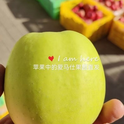 陕西新鲜瑞雪苹果采摘至1300米高的海拔纯甜无渣特级小甜甜批发图3