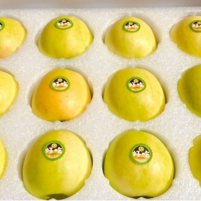 陕西新鲜瑞雪苹果采摘至1300米高的海拔纯甜无渣特级小甜甜批发图5