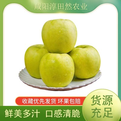 陕西新鲜瑞雪苹果采摘至1300米高的海拔纯甜无渣特级小甜甜批发图2