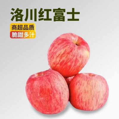 【顺丰快递】正宗陕西洛川红富士苹果 新鲜当季时令水果产地直发