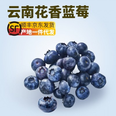 【京东快递】云南花香蓝莓L25鲜果新鲜水果中特大果当季时令批发