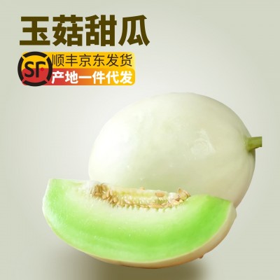 【顺丰快递】海南玉菇蜜瓜3/5/9斤新鲜时令冰淇淋甜瓜哈密瓜一件