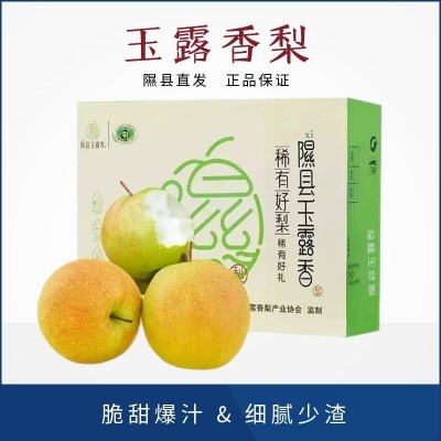 【7478】隰县玉露香梨子 新鲜水果酥梨应季香梨脆甜多汁皮薄梨子 1000斤