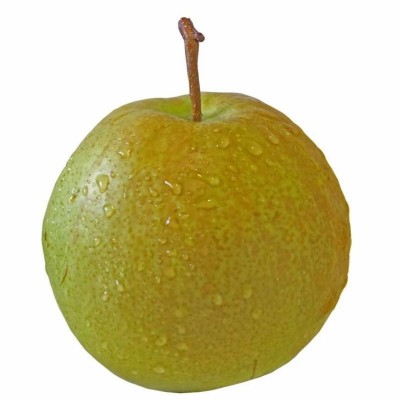 【7478】隰县玉露香梨子 新鲜水果酥梨应季香梨脆甜多汁皮薄梨子 1000斤图3