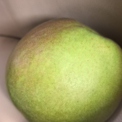 隰县玉露香梨一件代发山西玉露香梨子脆甜好吃礼盒装批发 1件图5