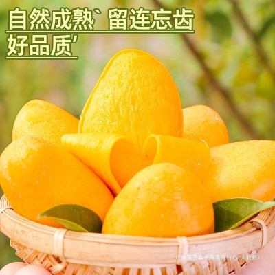 海南小台农芒果10斤新鲜现摘小台芒应当季热带水果特产芒果包邮5 1件图3