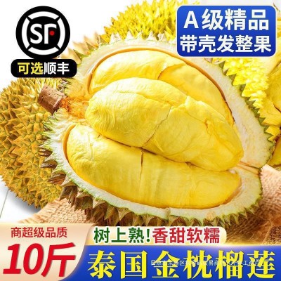 金枕榴莲10斤包邮整个整箱巴掌小一新鲜水果当季斤顺丰榴莲 1件图2