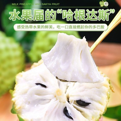 释迦果新鲜番荔枝5斤大目凤梨牛奶佛头果林檎摩尼果当季水果3顺丰 1件图2