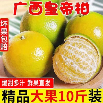 广柑斤新鲜水果贡柑/斤柑橘薄皮批发橘子桔子 1件图3