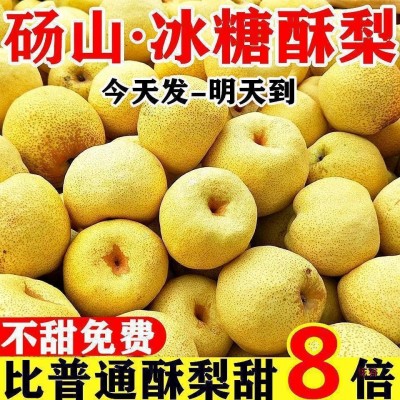 【超甜现货】砀山酥梨当季新鲜水果薄皮梨子贡梨整箱批发包邮 1斤图3