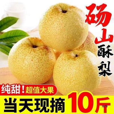 【超甜现货】砀山酥梨当季新鲜水果薄皮梨子贡梨整箱批发包邮 1斤