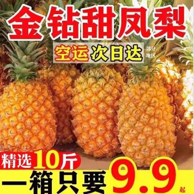 金钻凤梨10斤精选树上熟当季热带新鲜水果非菠萝手撕云南凤梨整箱 1件