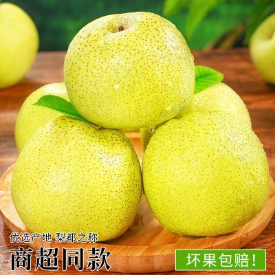 热卖安徽砀山酥梨10斤梨子新鲜水果应当季整箱包邮特产香梨脆 1件图5