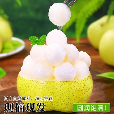 热卖安徽砀山酥梨10斤梨子新鲜水果应当季整箱包邮特产香梨脆 1件图4