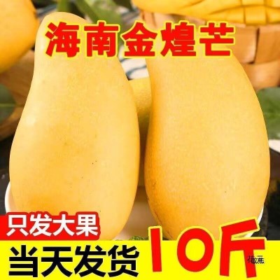 海南金煌芒水仙芒果10斤装整箱热带水果新鲜大芒果甜心芒金兴 1件