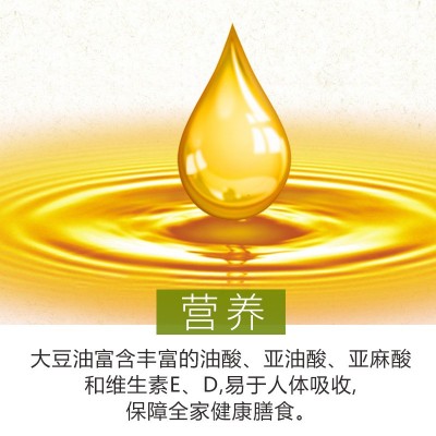 大荒荟萃一级大豆色拉油5升 东北非转基因食用油批发包邮代发图4