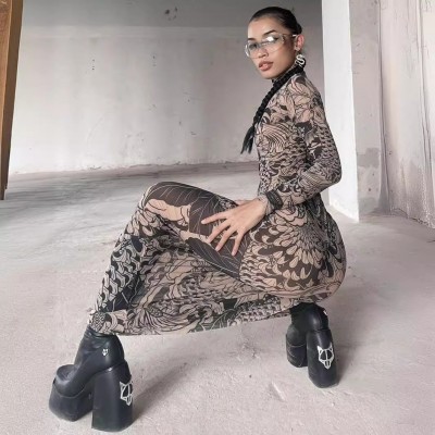 欧美跨境女装2023秋季新款时尚网纱印花透视高领修身显瘦连衣裙女图3