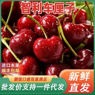 智利进口车厘子新鲜水果礼盒应当季大樱桃5J整箱立发孕妇斤 1斤图4