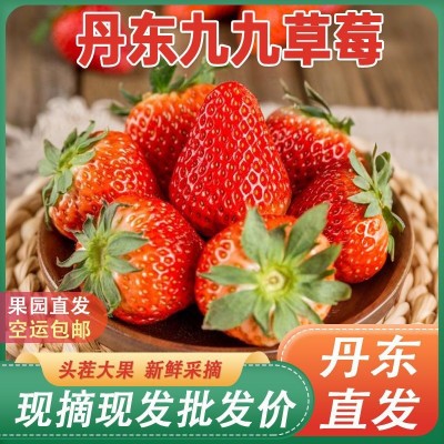 丹东九九草莓正宗久久红颜草莓产地直发新鲜头茬水果批发代发 1斤图2