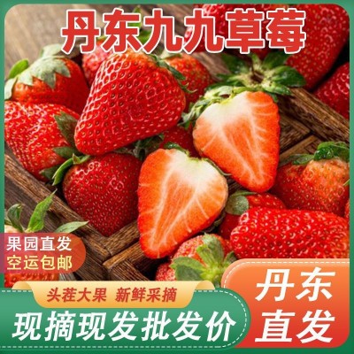 丹东九九草莓正宗久久红颜草莓产地直发新鲜头茬水果批发代发 1斤图4