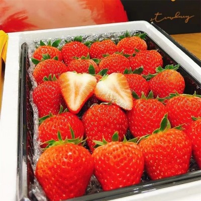 丹东九九草莓正宗久久红颜草莓产地直发新鲜头茬水果批发代发 1斤图5