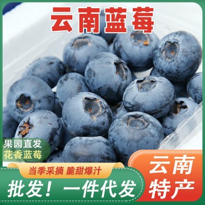 正宗蓝莓新鲜水果当季蓝梅鲜果摘高山怡颗孕妇大果整箱顺丰包 1斤图3