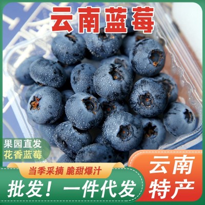 正宗蓝莓新鲜水果当季蓝梅鲜果摘高山怡颗孕妇大果整箱顺丰包 1斤图2
