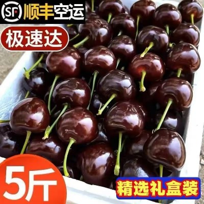 顺丰空运精品级智利车厘子大樱桃桑提娜新鲜水果3斤孕妇水果礼盒 1件
