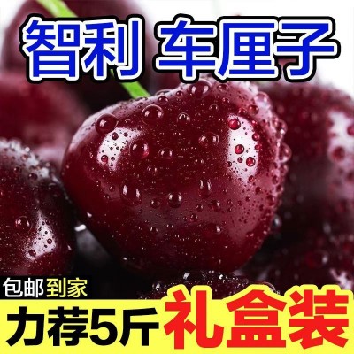 智利车厘子大樱桃桑提娜新鲜水果3斤2斤孕妇水果礼盒京东顺丰随机 1件