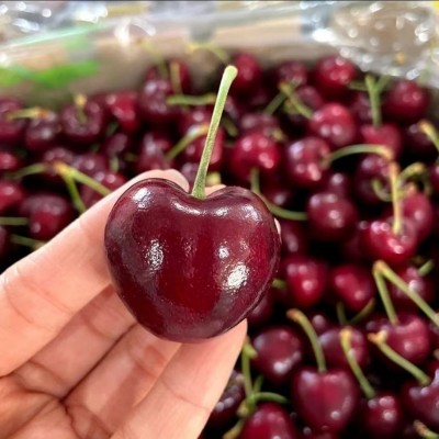智利车厘子大樱桃桑提娜新鲜水果3斤2斤孕妇水果礼盒京东顺丰随机 1件图2