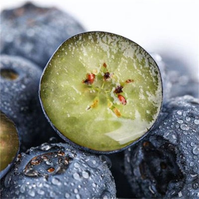 云南蓝莓鲜果大果高山现摘当季新鲜水果整箱批发非怡颗莓京东空运 1件图3