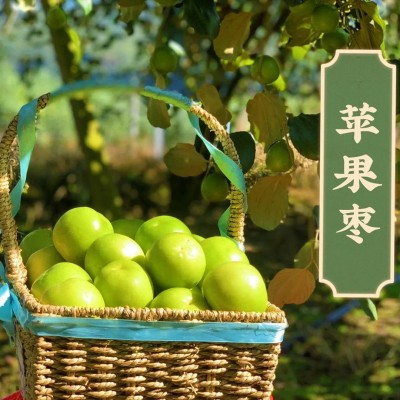 【福建苹果枣蜜枣】 香甜脆嫩多汁非大青枣5斤新鲜水果一件代发 1箱