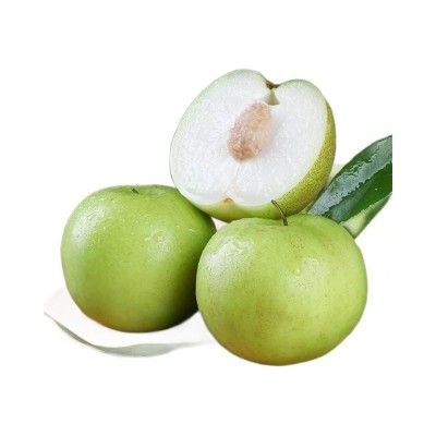 【福建苹果枣蜜枣】 香甜脆嫩多汁非大青枣5斤新鲜水果一件代发 1箱图4