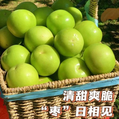 【福建苹果枣蜜枣】 香甜脆嫩多汁非大青枣5斤新鲜水果一件代发 1箱图3