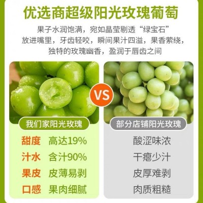 阳光玫瑰葡萄新鲜水果晴王提子青提大果整串国产整箱批发 1箱图2
