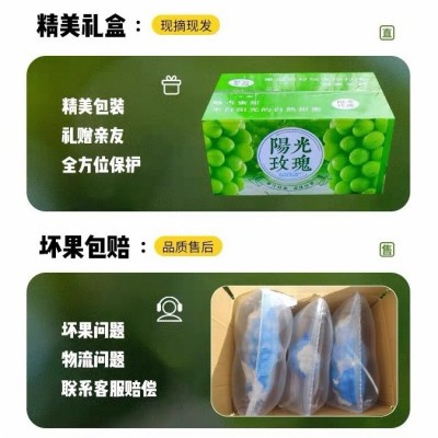 阳光玫瑰葡萄新鲜水果晴王提子青提大果整串国产整箱批发 1箱图3
