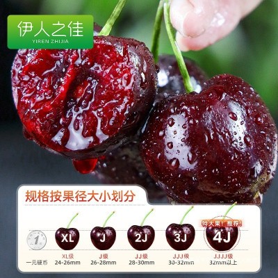 美国车厘子新鲜水果当季整箱包邮2/3/5斤孕妇礼盒进口大樱桃j3 j4j 1件图4