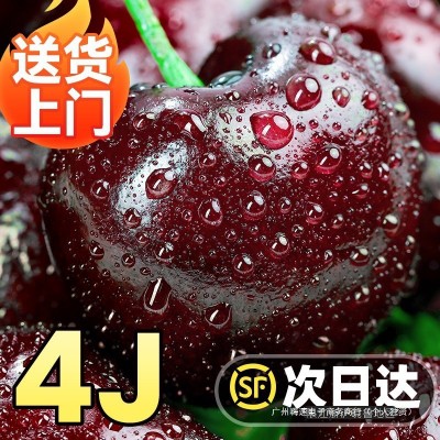 美国车厘子新鲜水果当季整箱包邮2/3/5斤孕妇礼盒进口大樱桃j3 j4j 1件