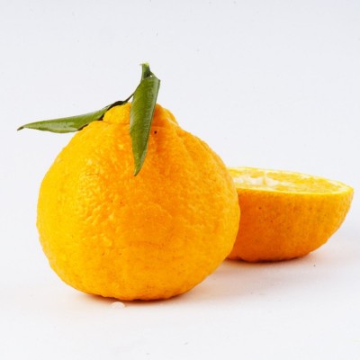 现货一件代发眉山丹棱果园新鲜现摘现发柑橘皇后甘平新鲜水果批发 1箱图5