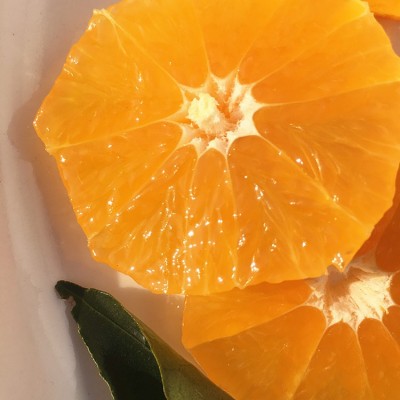 现货眉山丹棱爱媛38号果冻橙批发新鲜水果手剥橙一件代发斤8斤 1件图2