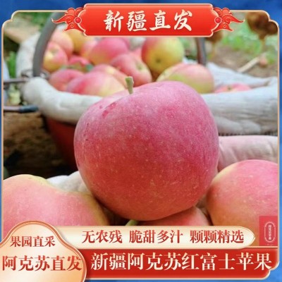 新疆阿克苏红富士苹果新鲜水果当季孕妇水果2025现摘早熟苹果整箱 1箱